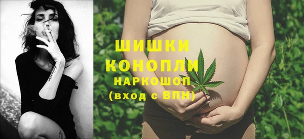 шишки Белоозёрский