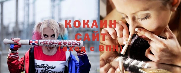 шишки Белоозёрский