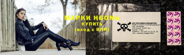 шишки Белоозёрский