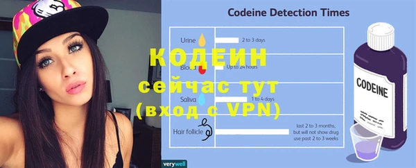 шишки Белоозёрский