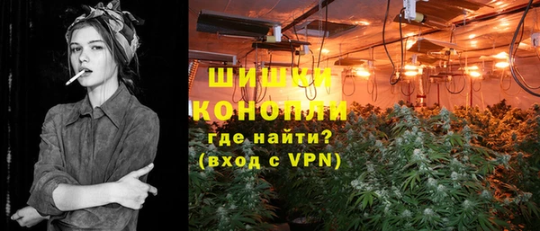шишки Белоозёрский
