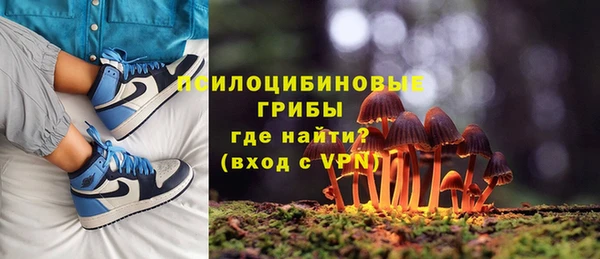 шишки Белоозёрский