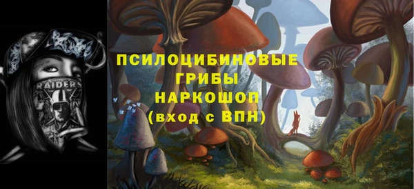 мдпв Беломорск