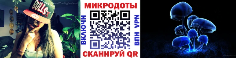 OMG маркетплейс  Великий Устюг  Галлюциногенные грибы Psilocybine cubensis 
